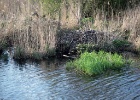Picture 039